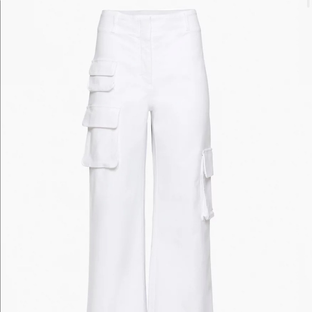 NWT Aritzia Picture Pant
